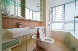 The Regency At Tiong Bahru (D3), Condominium #568196091
